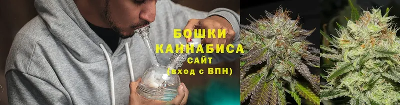 где можно купить наркотик  площадка состав  Бошки марихуана OG Kush  Новое Девяткино 